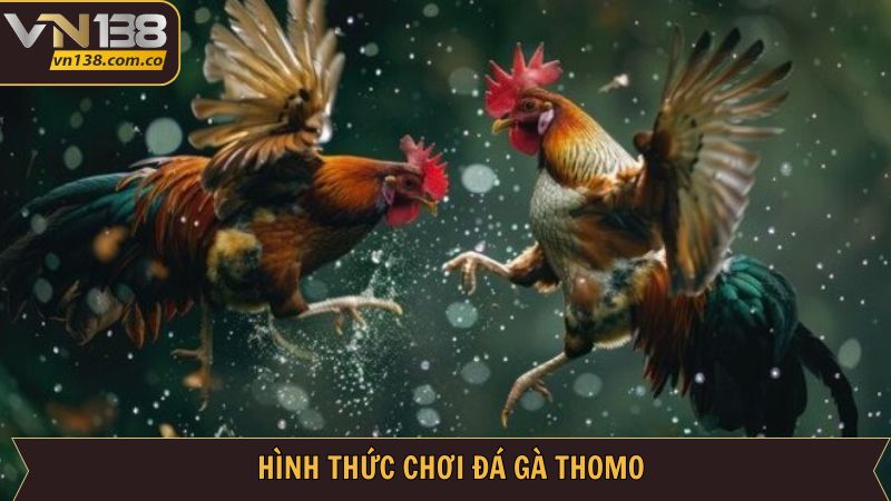 Những hình thức cá cược cực hot mà địa chỉ đã đem tới người dùng 